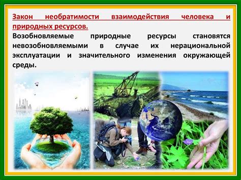 Угроза экологического равновесия: роль ирисов в природе