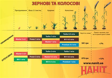 Удобрение и обработка озимой пшеницы весной