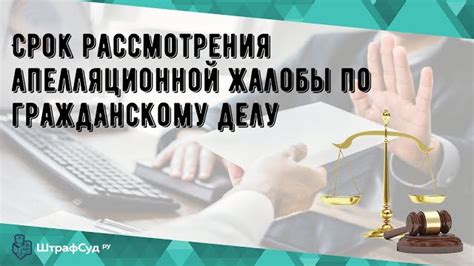 Узнать о возможности апелляции