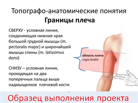 Укрощение воспалительных процессов