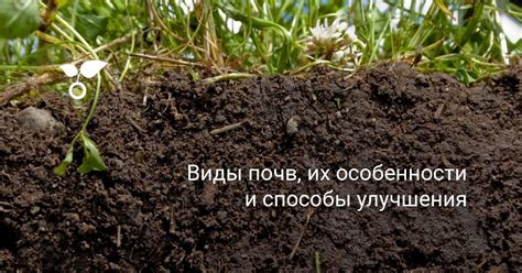 Улучшение водоснабжения почвы