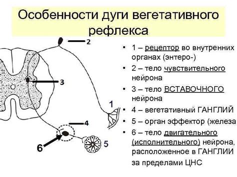 Улучшение координации и рефлексов