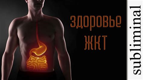 Улучшение пищеварения и функций желудочно-кишечного тракта