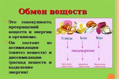 Улучшение процессов обмена веществ