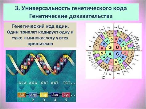 Универсальность генетического кода