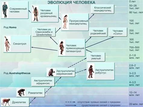 Уникальная ветвь времени: история прошлого