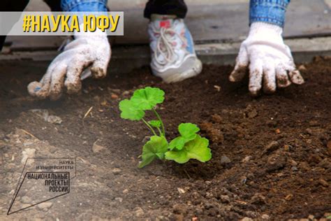 Уникальные свойства влажной почвы, способствующие более быстрому прогреву