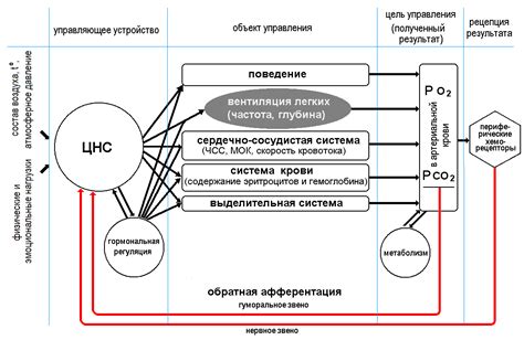 Уникальный состав газового состава