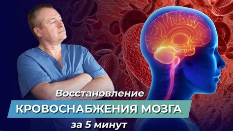 Упражнения для улучшения кровообращения