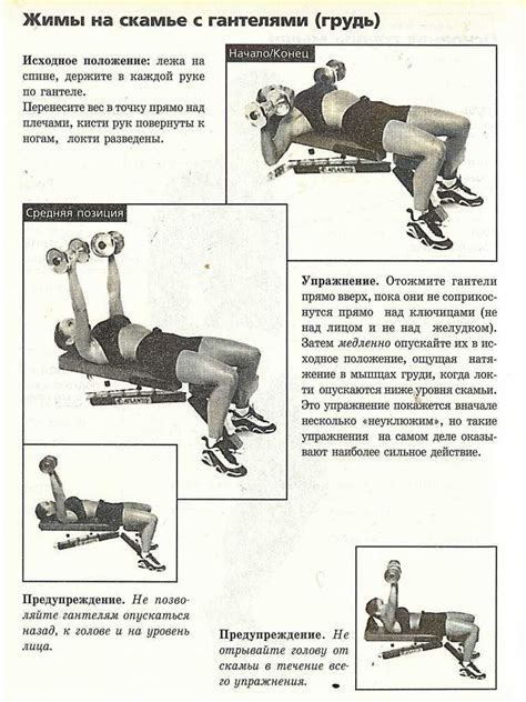 Упражнения с гантелями для тренировки грудных мышц