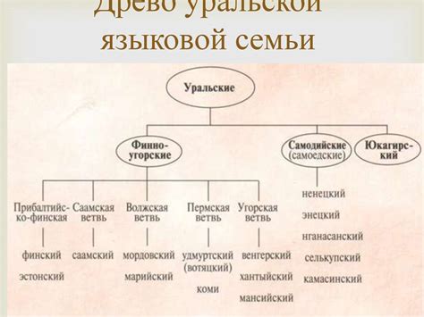 Уральская языковая семья: особенности и распространение