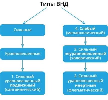 Урок ВНД в школе