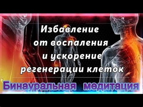 Ускорение регенерации клеток