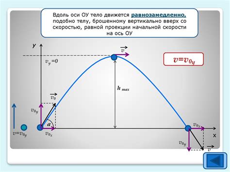 Ускорение свободного падения и его влияние на мгновенную скорость