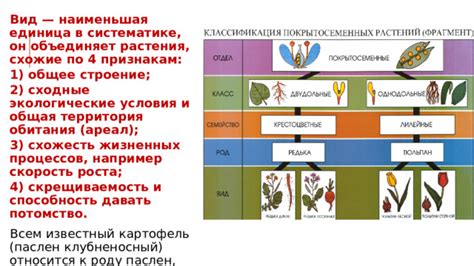 Условия обитания и место в биологической систематике