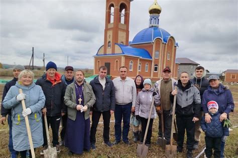 Установка укрытия для молодых саженцев туи