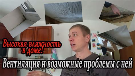 Устранение влажности