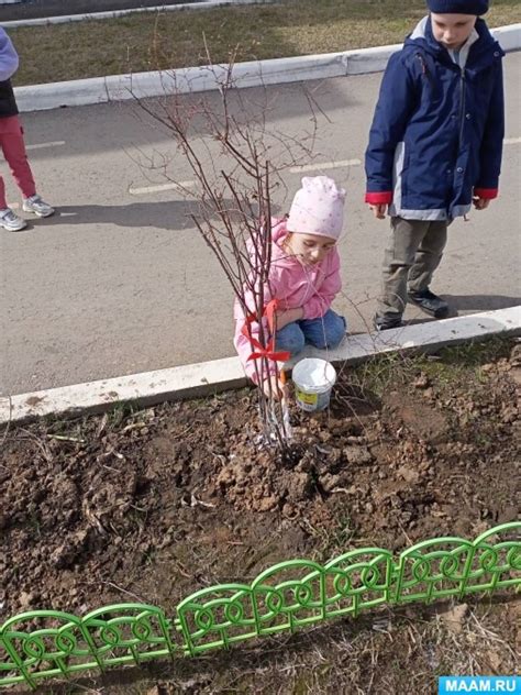 Уход за новыми растениями на участке в первый год