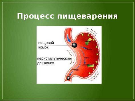 Ухудшение пищеварения и абсорбции питательных веществ