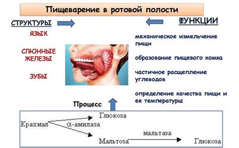 Ухудшение пищеварительного процесса