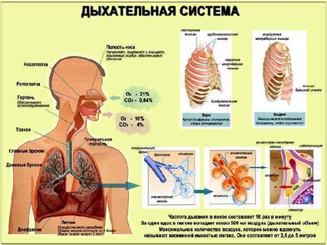 Ухудшение функции дыхания