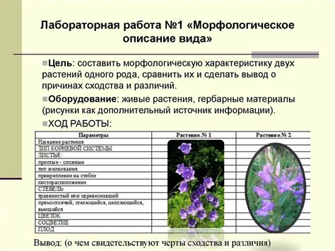 Учитывайте особенности вида растения