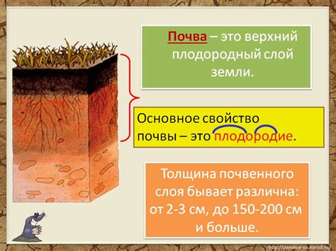 Учитывайте состав почвы