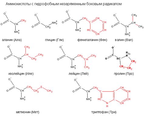 У аминокислот есть специфичные аминокислотные остатки