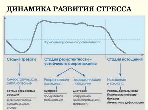 Фазы развития заболевания HIV в организме