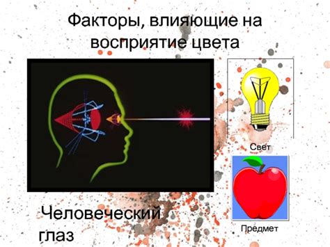 Факторы, влияющие на восприятие цвета и формы