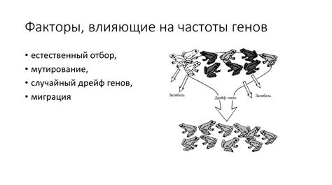 Факторы, влияющие на выражение генов