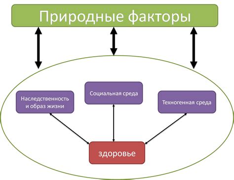 Факторы, влияющие на здоровье эпителия