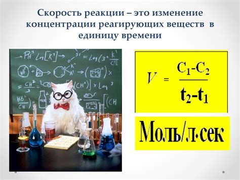 Факторы, влияющие на истинную скорость реакции