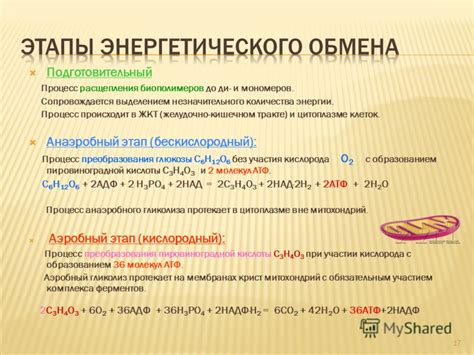 Факторы, влияющие на подготовительный этап энергетического обмена