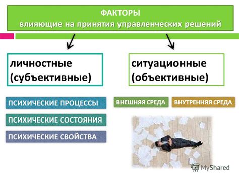 Факторы, влияющие на процессы ассимиляции и их значение