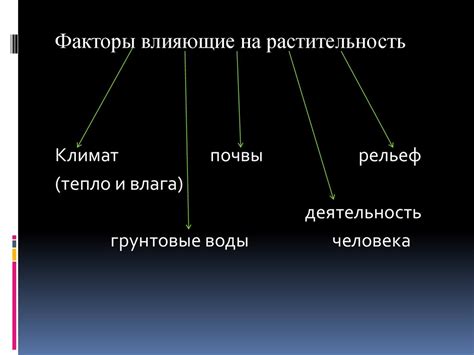 Факторы, влияющие на растительность на теле мужчины