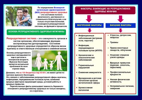 Факторы, влияющие на репродуктивное здоровье