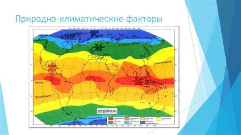 Факторы выбора: климатические условия и бюджет