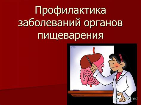 Факторы пищеварения