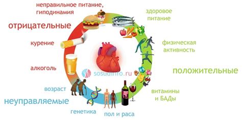 Факторы риска и ресурсы здоровья: что влияет на наше благополучие?