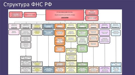 Федеральная налоговая служба России: основные функции и структура