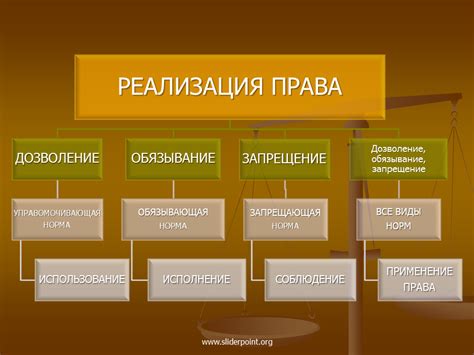 Федеральные суды: принципы применения права