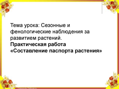 Фенологические наблюдения: что они изучают?