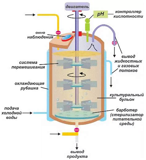 Ферментация и использование микроорганизмов