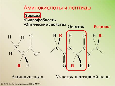 Физико-химические свойства пептидов