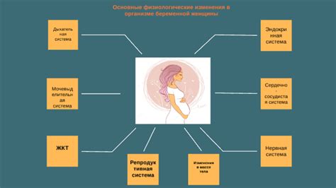 Физиологические изменения во время течки