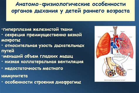 Физиологические проблемы дыхания