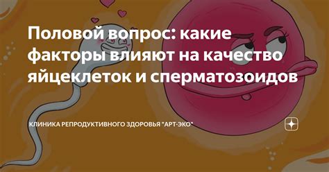 Физиологические факторы в формировании яйцеклеток