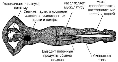 Физиологическое воздействие релаксации