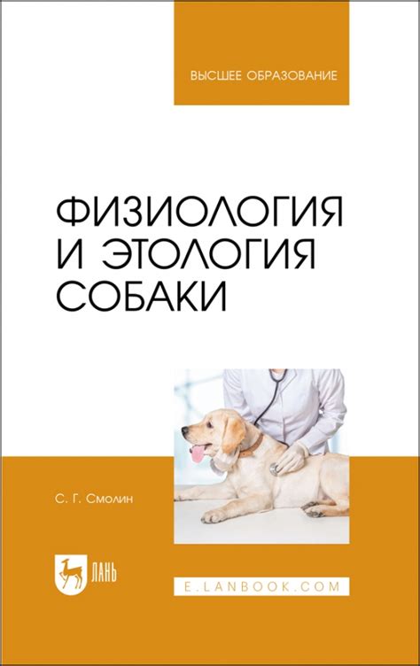 Физиология и здоровье собаки в процессе вращения